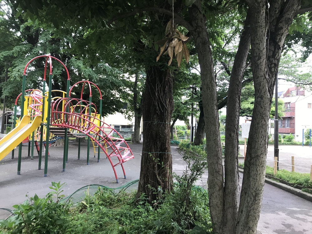 PCN Green Run(1) 西池袋〜下落合の公園を繋ぐランの写真5