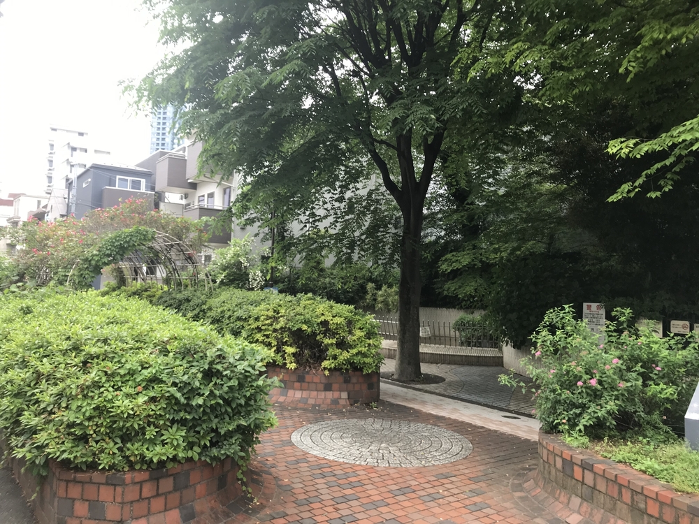 PCN Green Run(1) 西池袋〜下落合の公園を繋ぐランの写真11