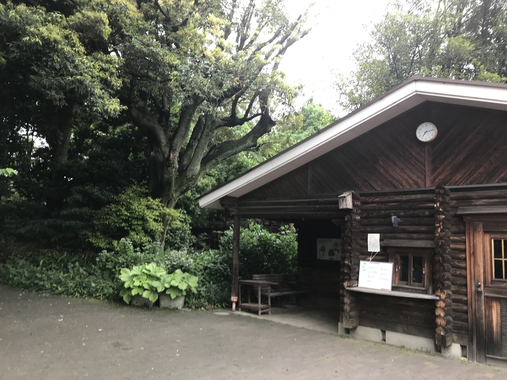 PCN Green Run(1) 西池袋〜下落合の公園を繋ぐランの写真18