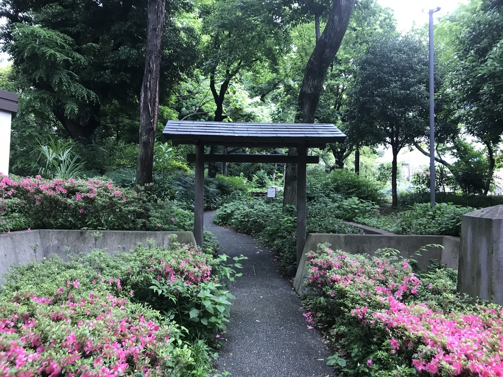 PCN Green Run(1) 西池袋〜下落合の公園を繋ぐランの写真22