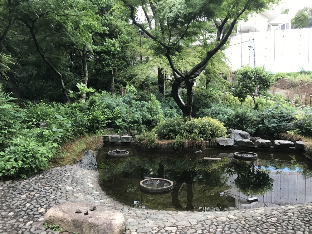 PCN Green Run(1) 西池袋〜下落合の公園を繋ぐランの写真23