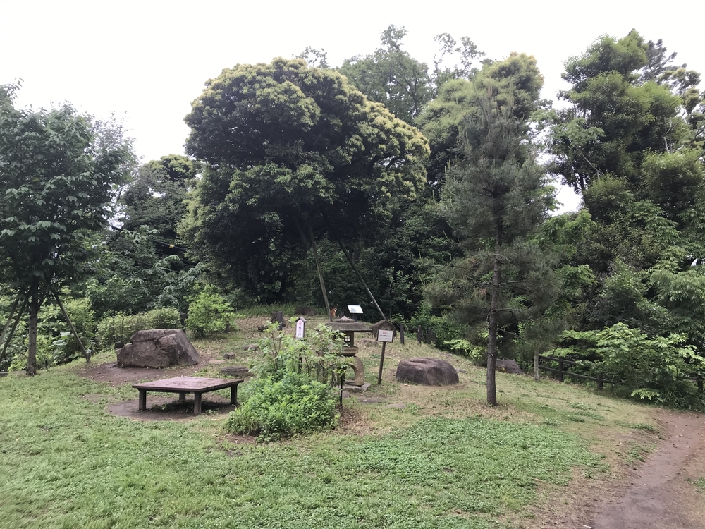 PCN Green Run(1) 西池袋〜下落合の公園を繋ぐランの写真24