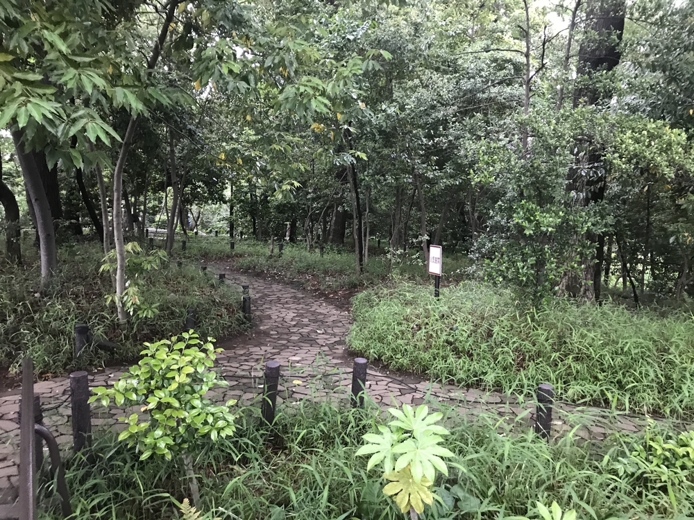 PCN Green Run(1) 西池袋〜下落合の公園を繋ぐランの写真27