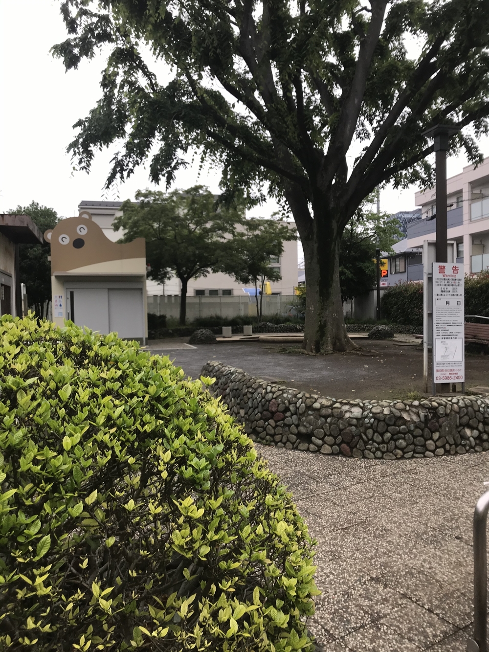 PCN Green Run(1) 西池袋〜下落合の公園を繋ぐランの写真29