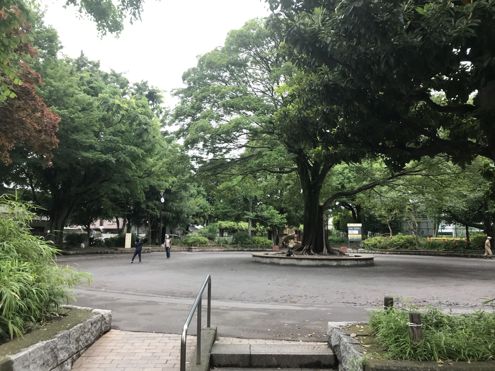 PCN Green Run(1) 西池袋〜下落合の公園を繋ぐランの写真31