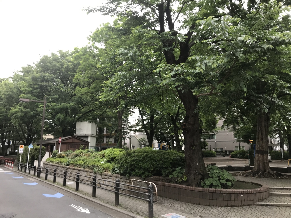 PCN Green Run(1) 西池袋〜下落合の公園を繋ぐランの写真33