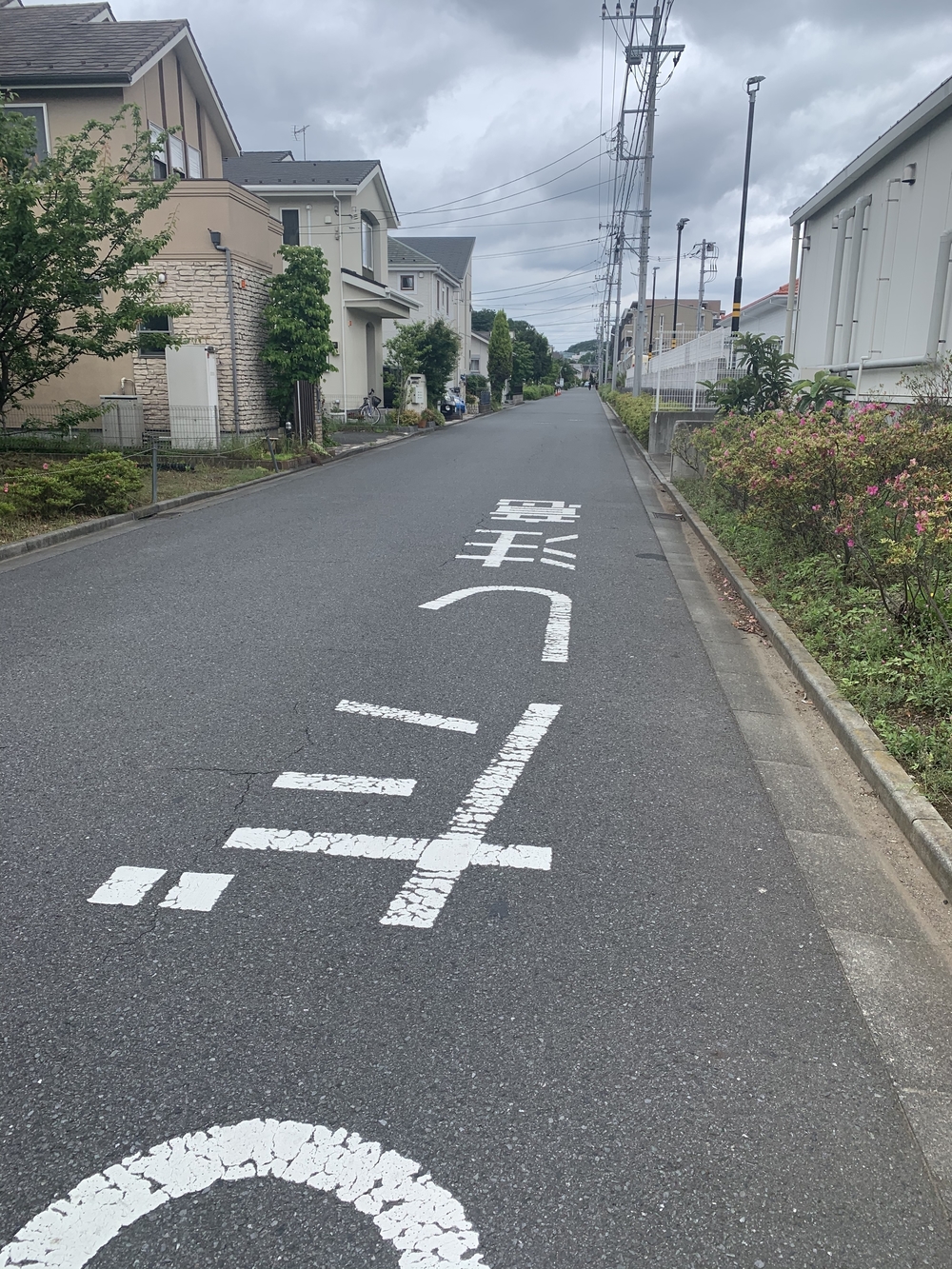 トレイルコース最高！の写真3