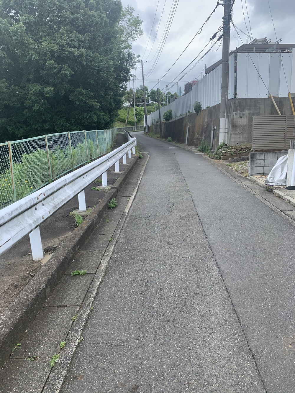 トレイルコース最高！の写真4