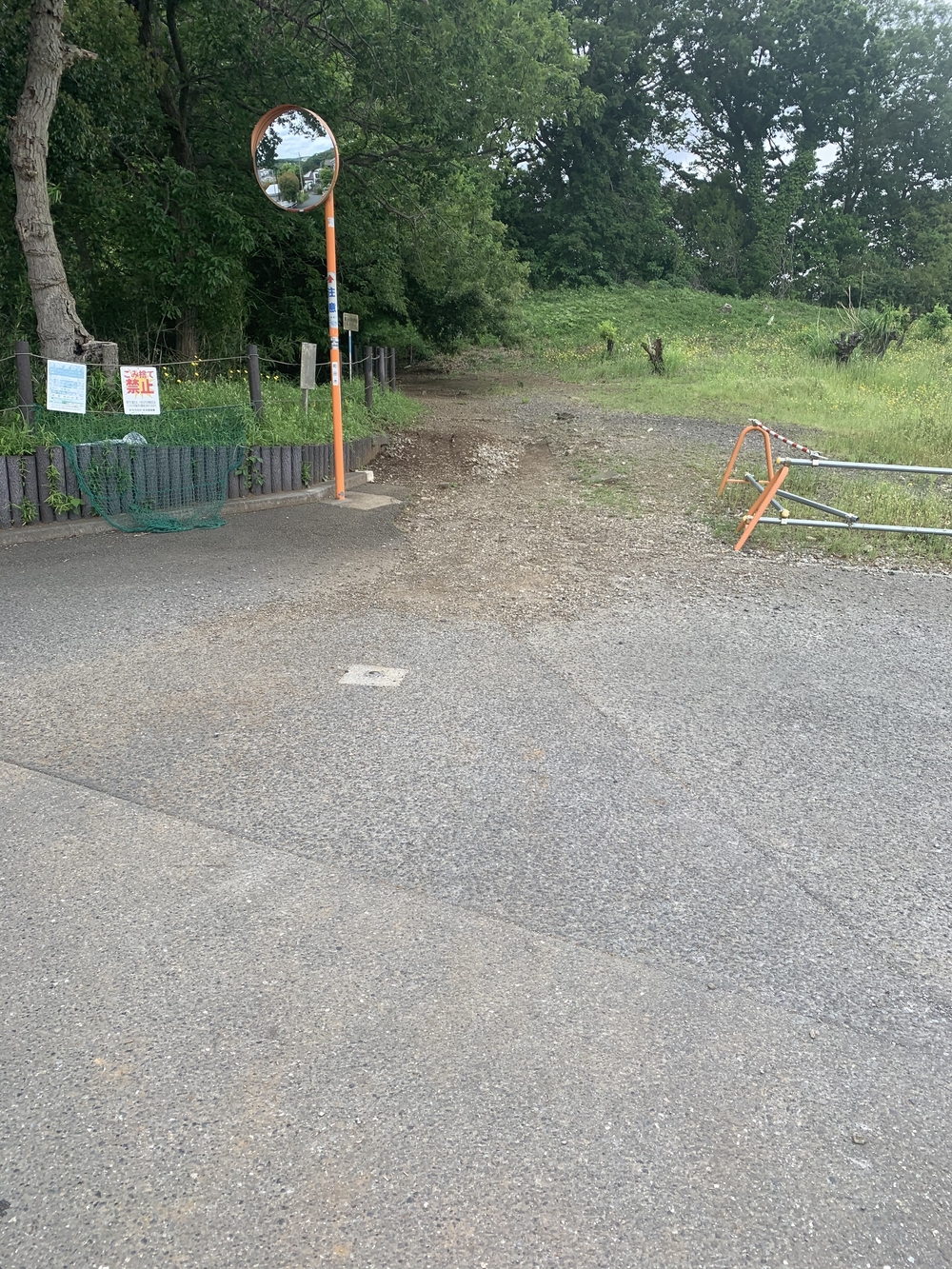 トレイルコース最高！の写真5