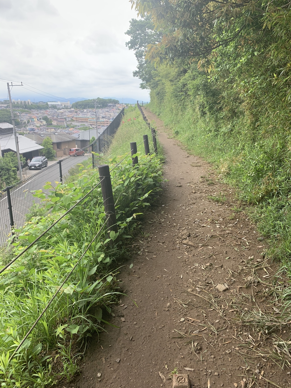 トレイルコース最高！の写真6