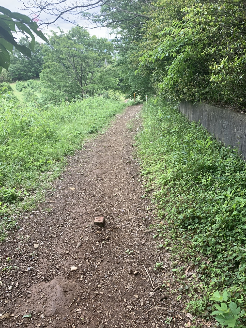 トレイルコース最高！の写真8