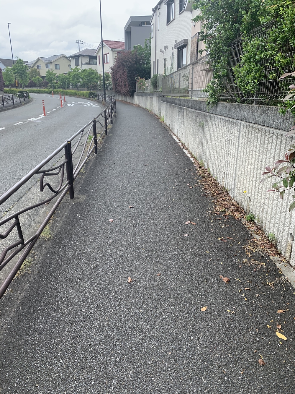 トレイルコース最高！の写真11