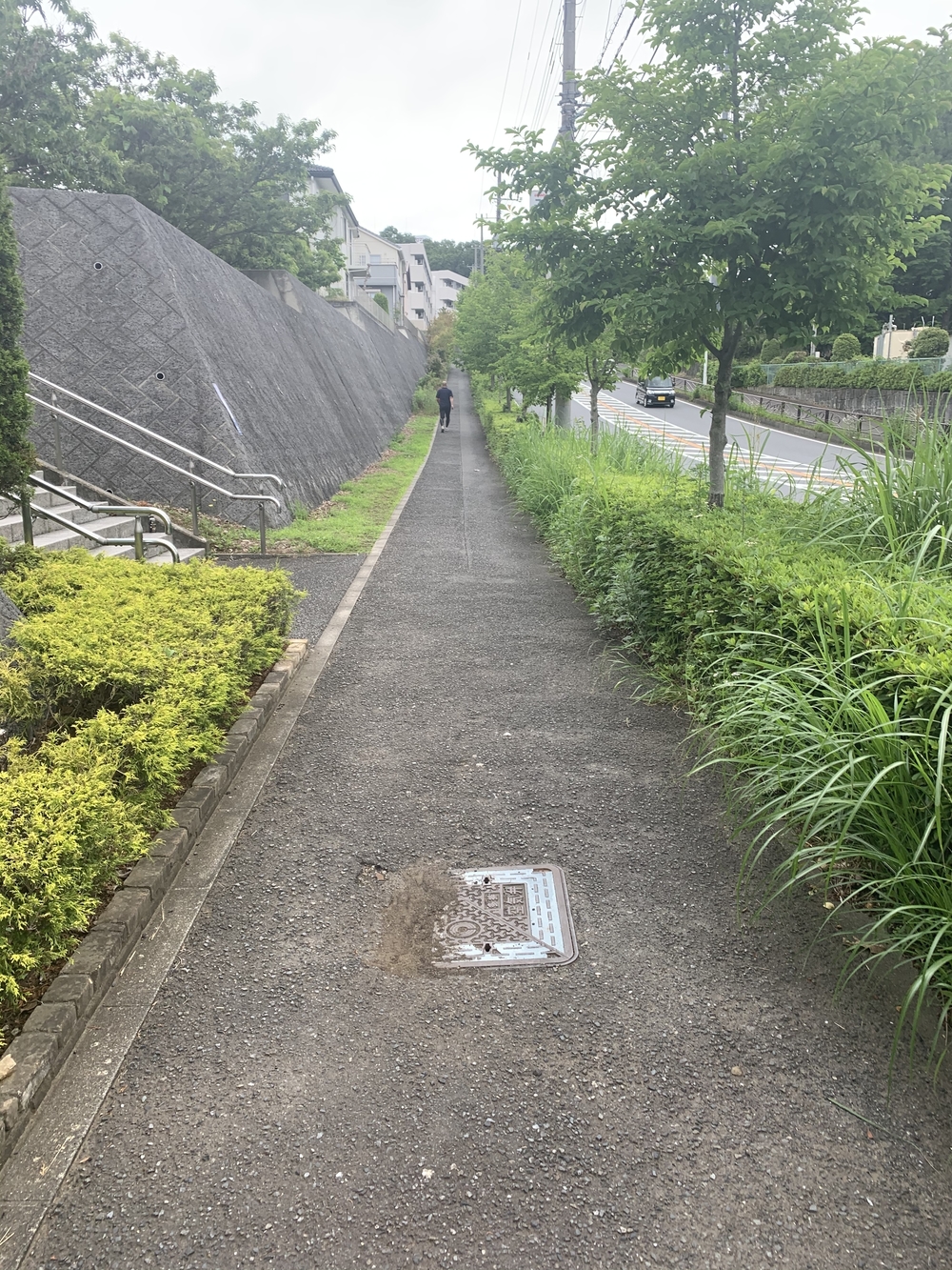 トレイルコース最高！の写真12