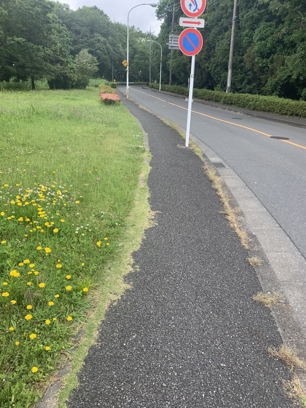 トレイルコース最高！の写真13