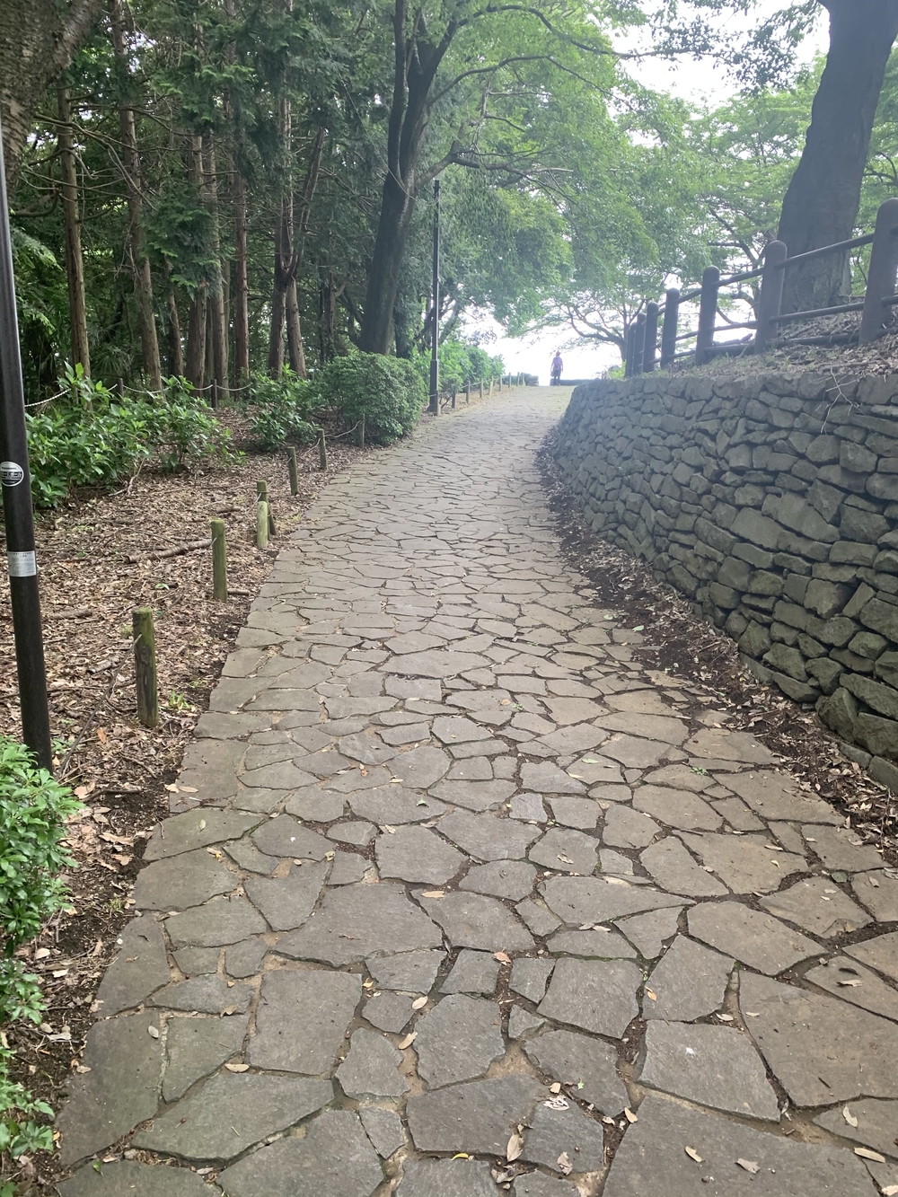 トレイルコース最高！の写真14