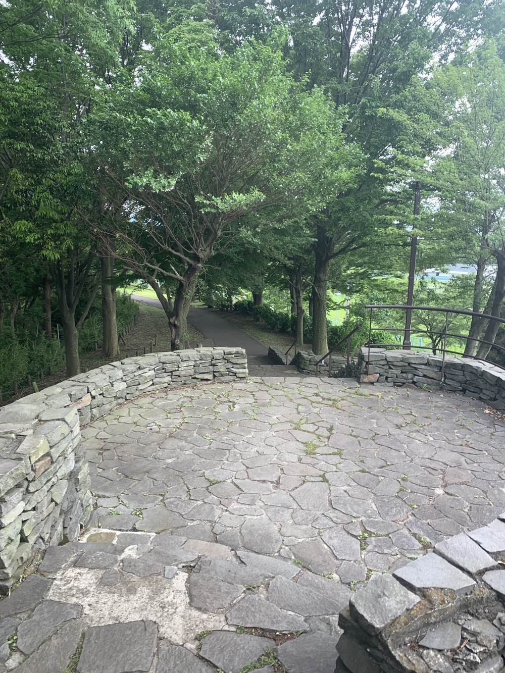 トレイルコース最高！の写真15