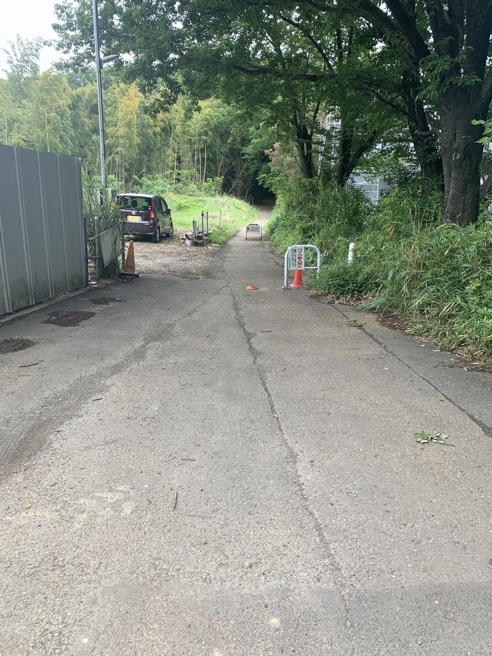 トレイルコース最高！の写真17