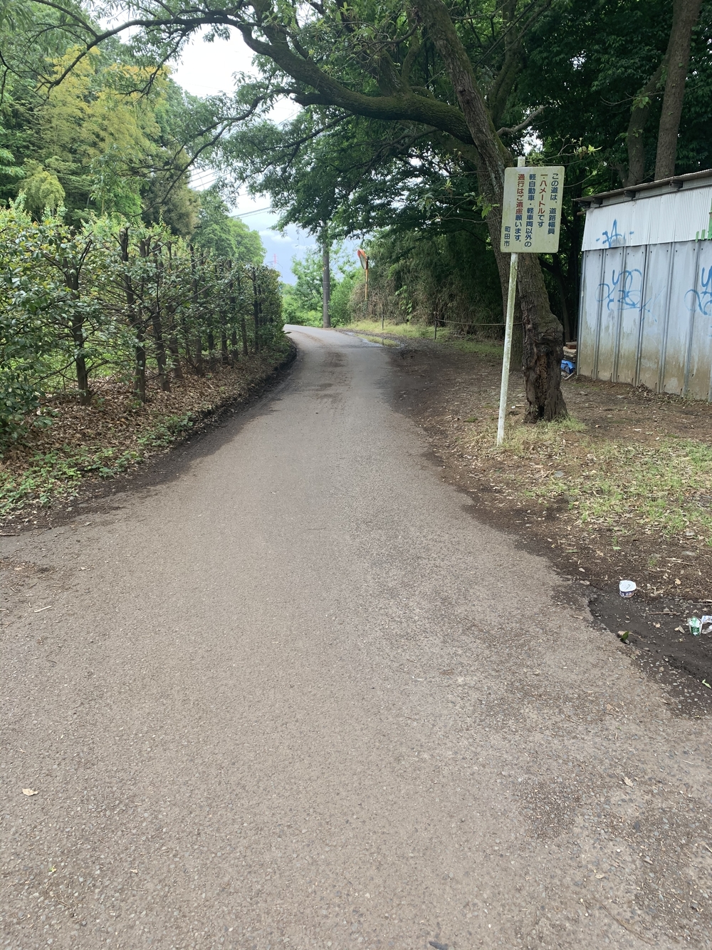 トレイルコース最高！の写真18