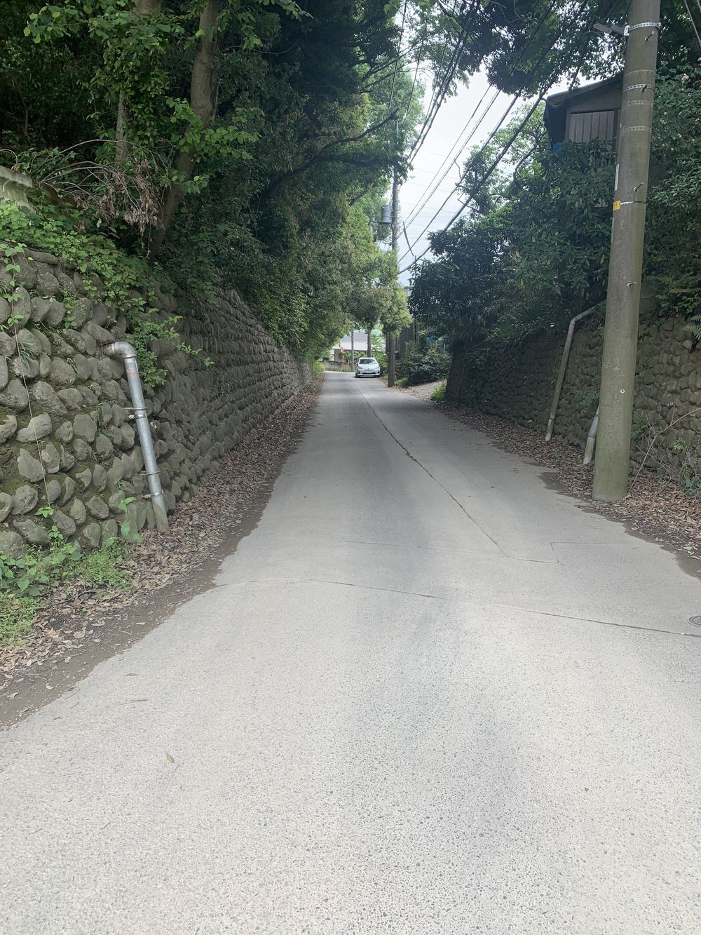 トレイルコース最高！の写真21