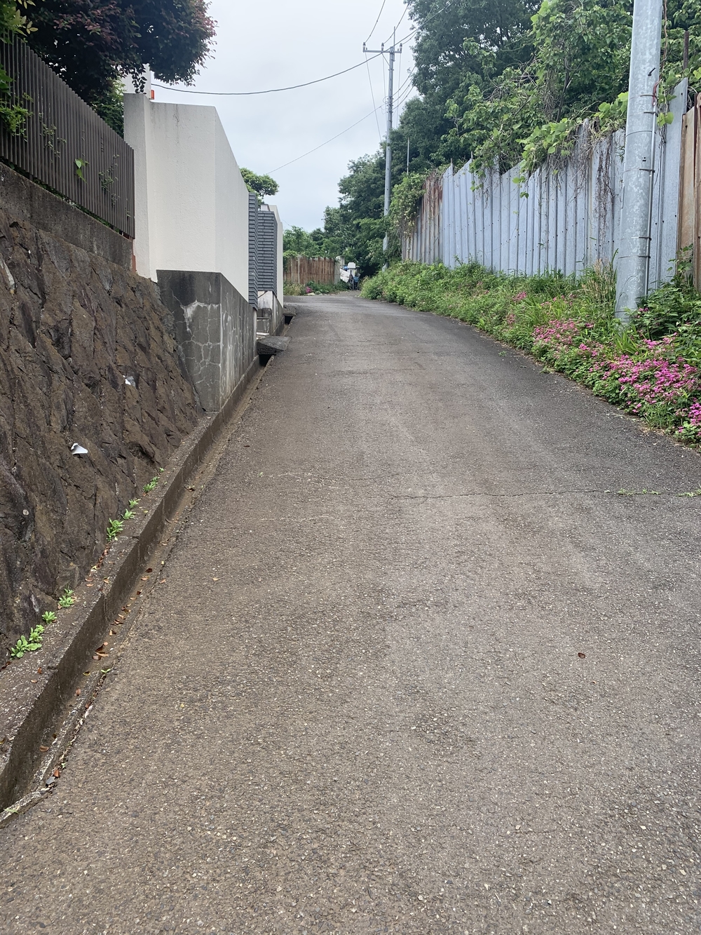 トレイルコース最高！の写真23