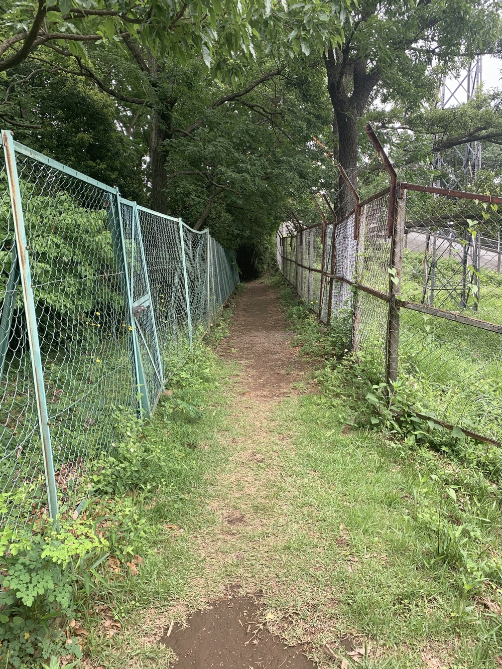 トレイルコース最高！の写真25