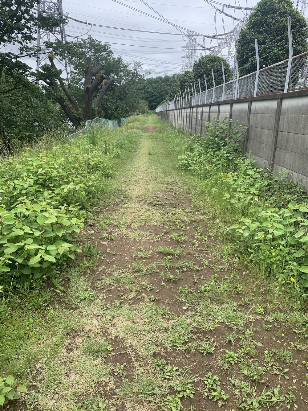 トレイルコース最高！の写真26