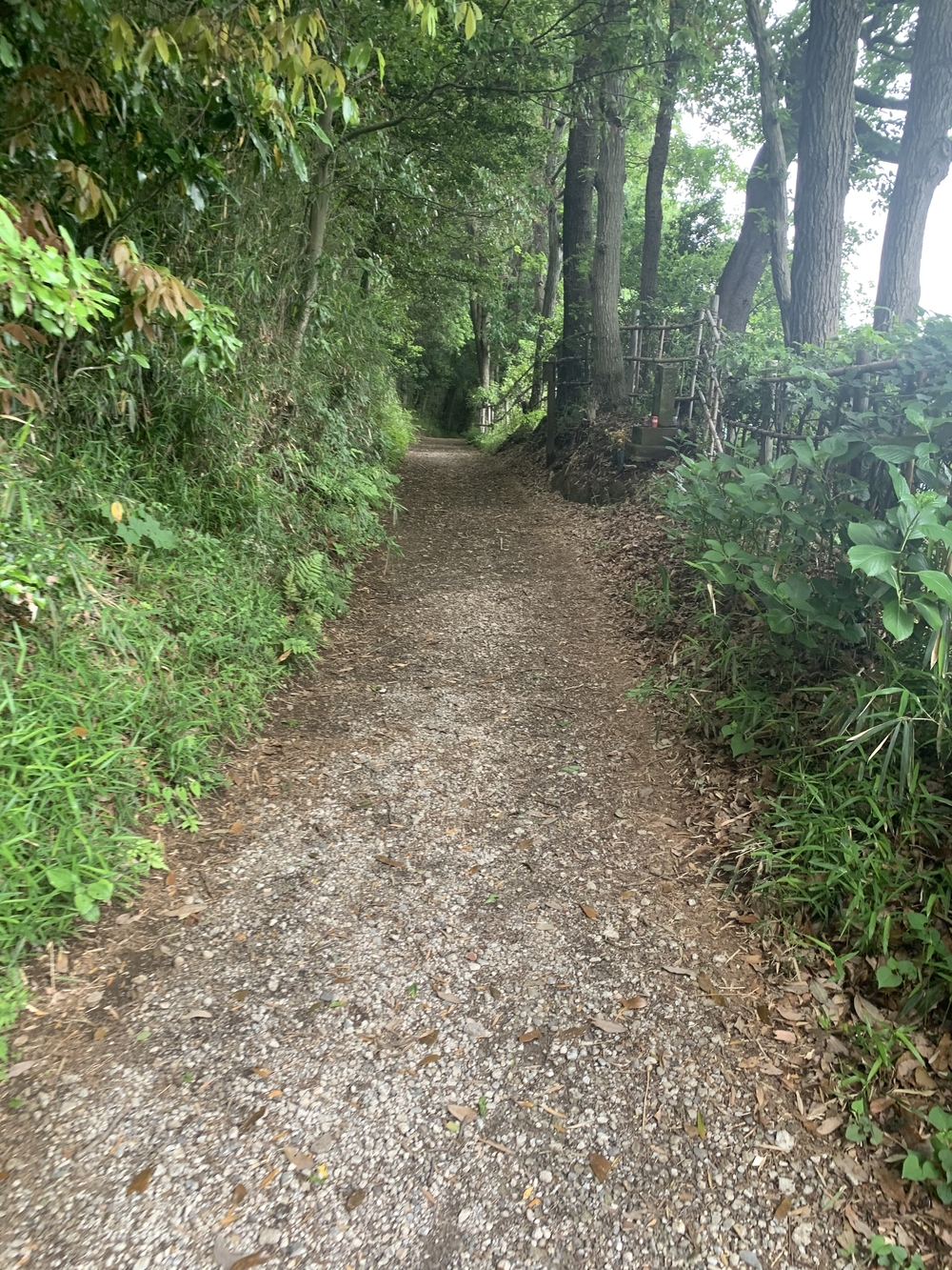 トレイルコース最高！の写真29