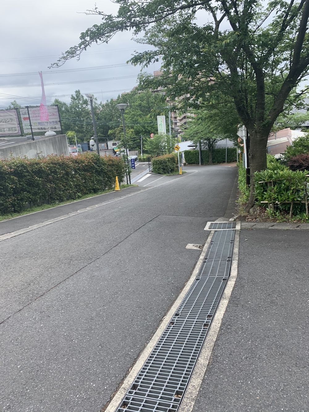 トレイルコース最高！の写真30