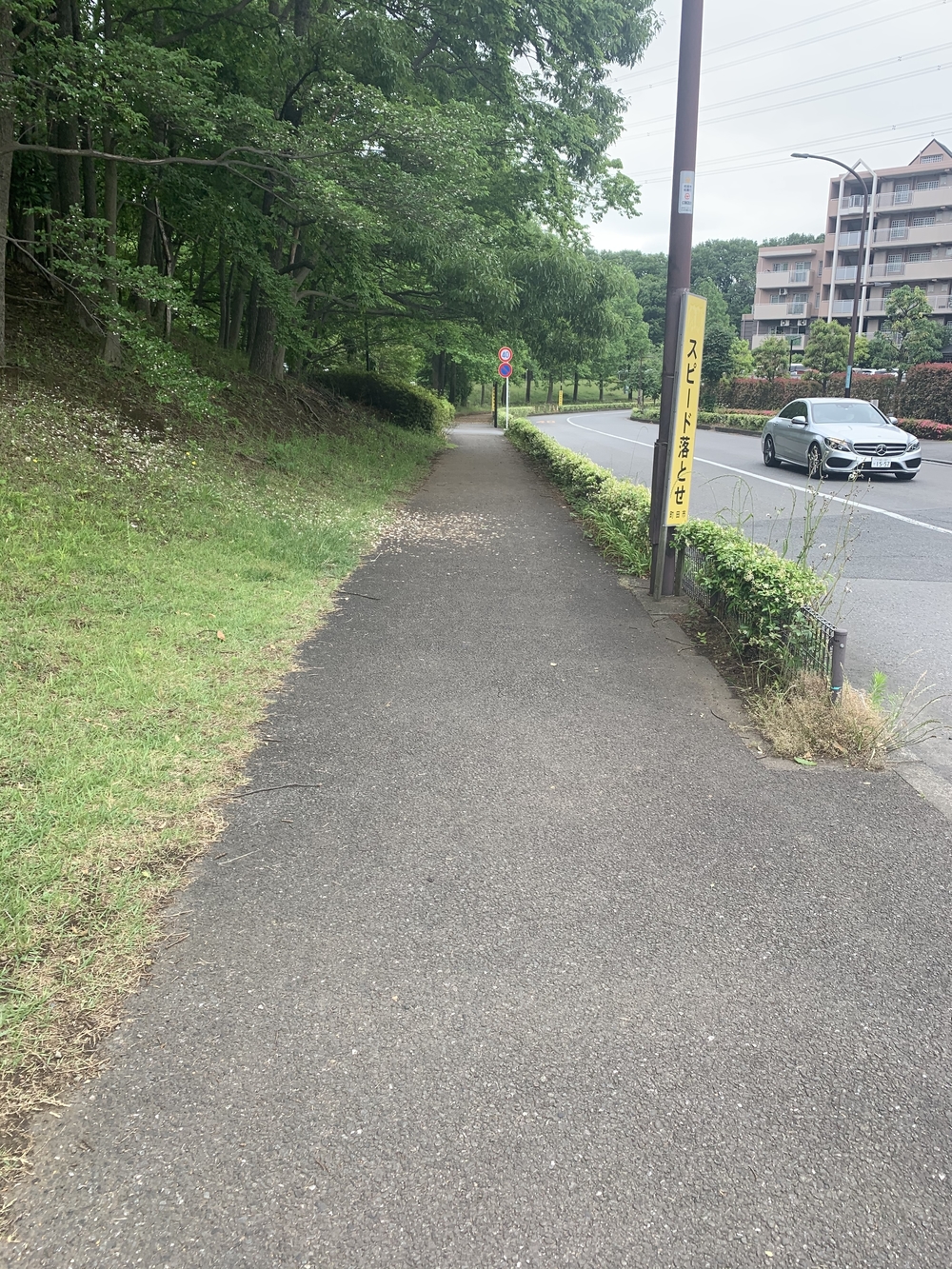 トレイルコース最高！の写真31