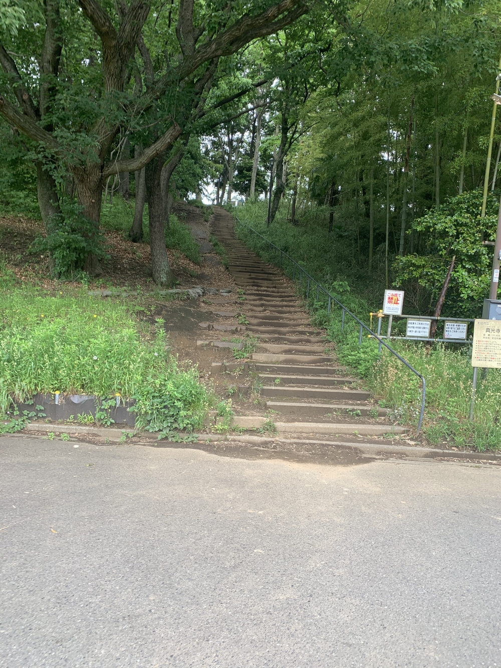 トレイルコース最高！の写真32