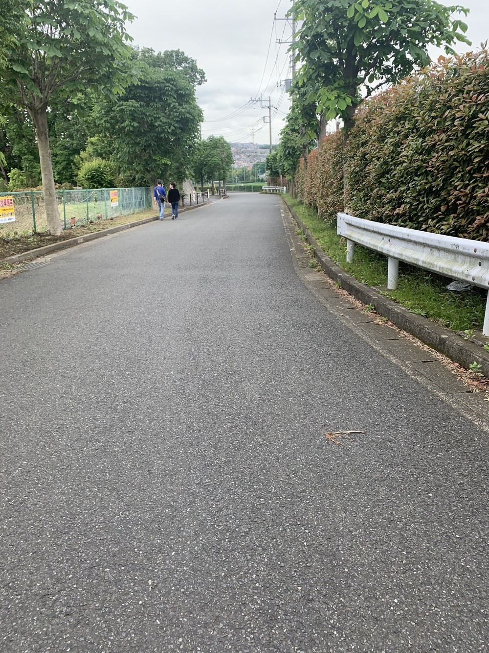 トレイルコース最高！の写真36