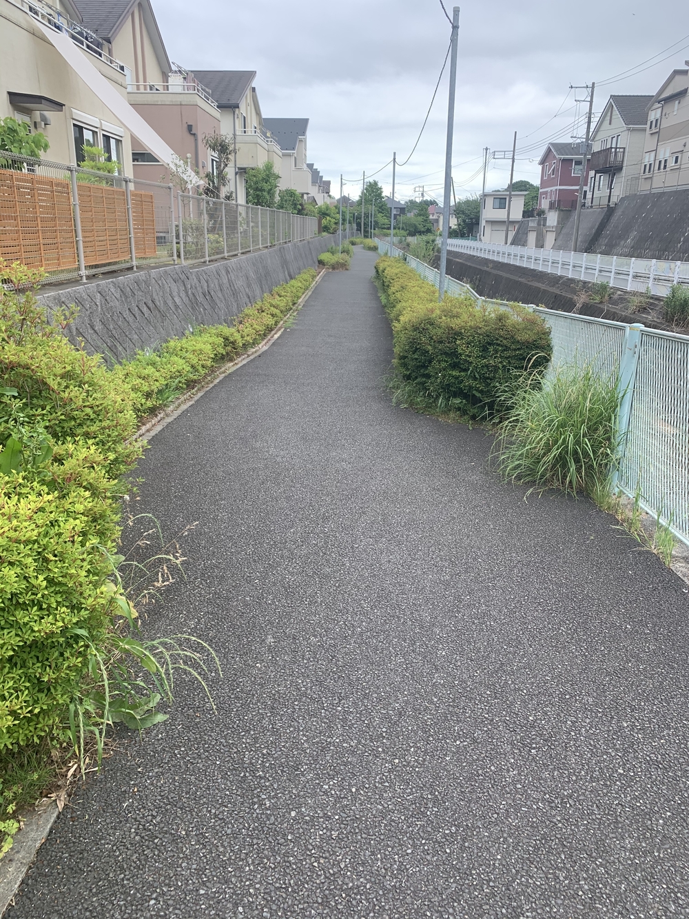 トレイルコース最高！の写真37