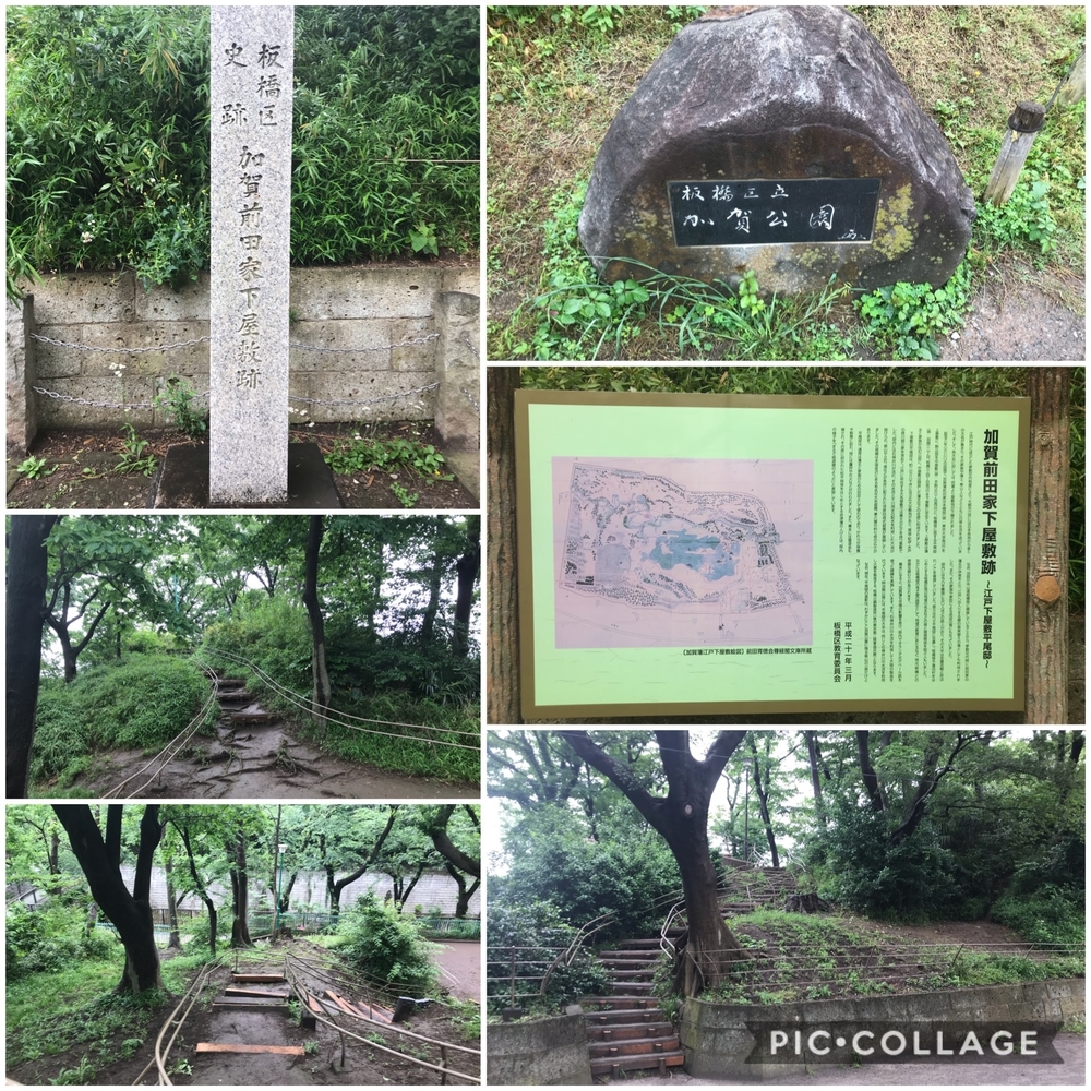 PCN Green Run(3) 豊島区から板橋区方面の写真3