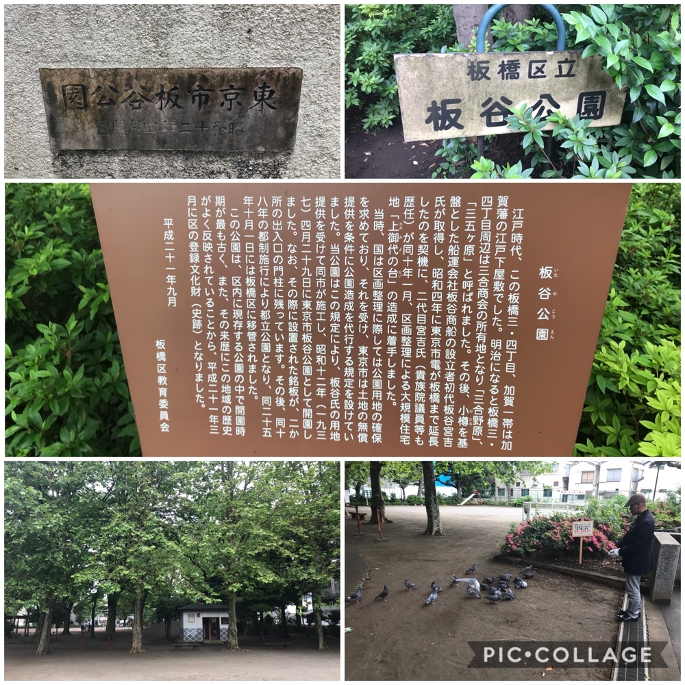 PCN Green Run(3) 豊島区から板橋区方面の写真4
