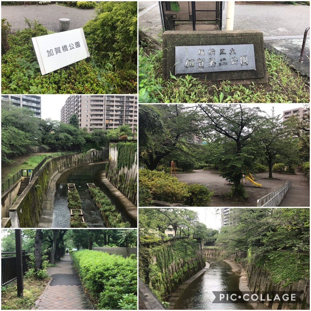 PCN Green Run(3) 豊島区から板橋区方面の写真5