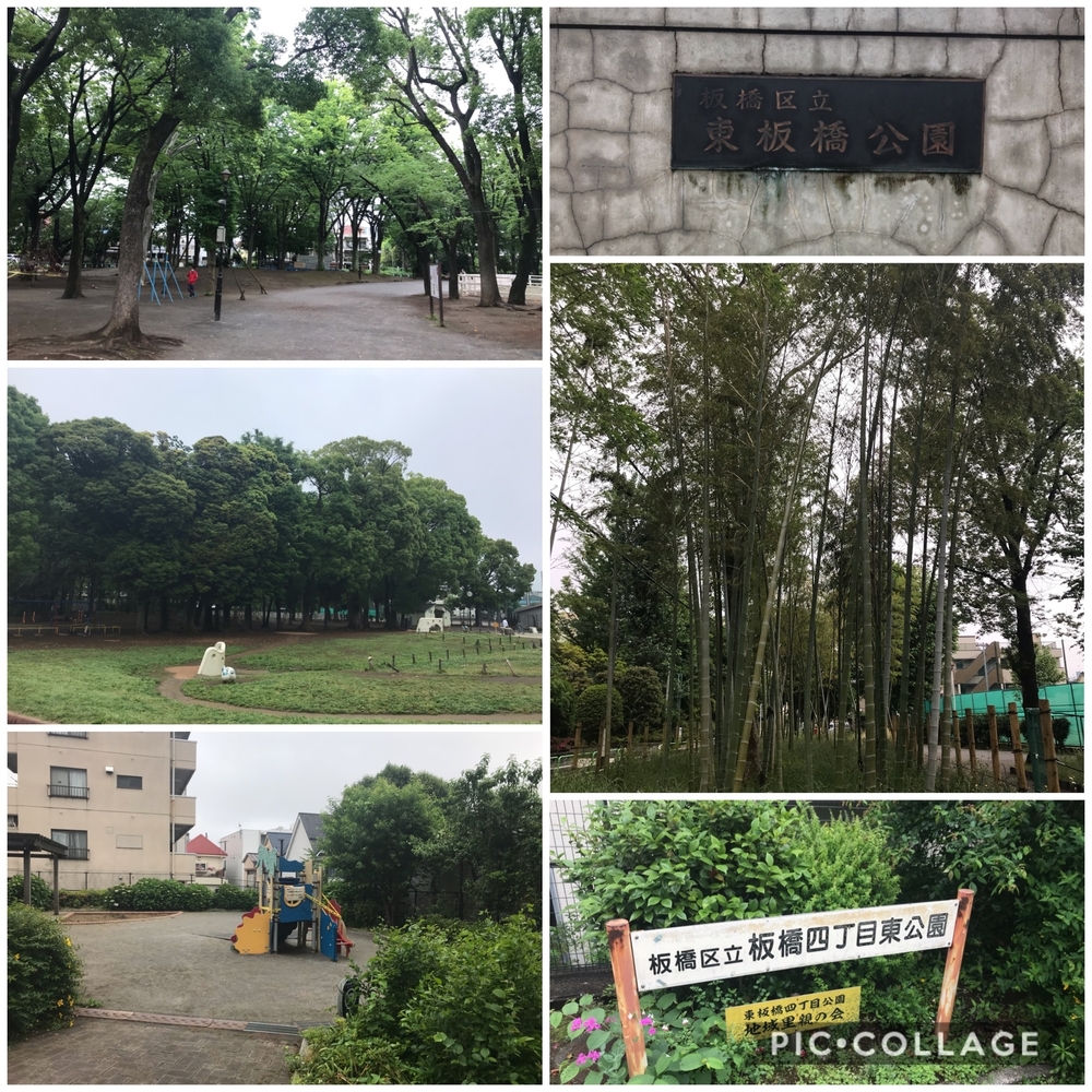 PCN Green Run(3) 豊島区から板橋区方面の写真6