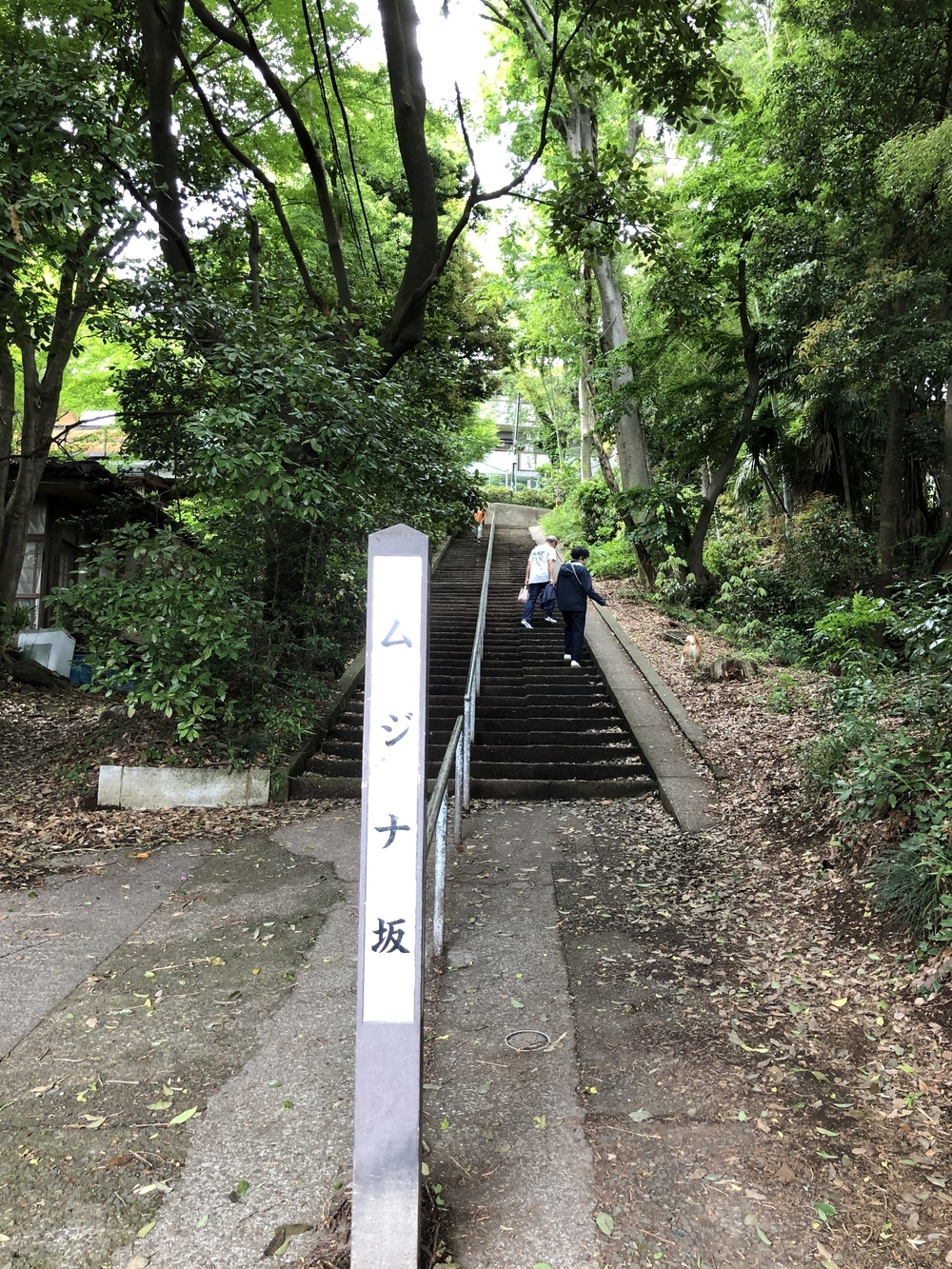 小金井　坂めぐりの写真3