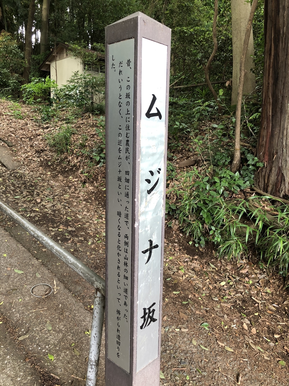 小金井　坂めぐりの写真4