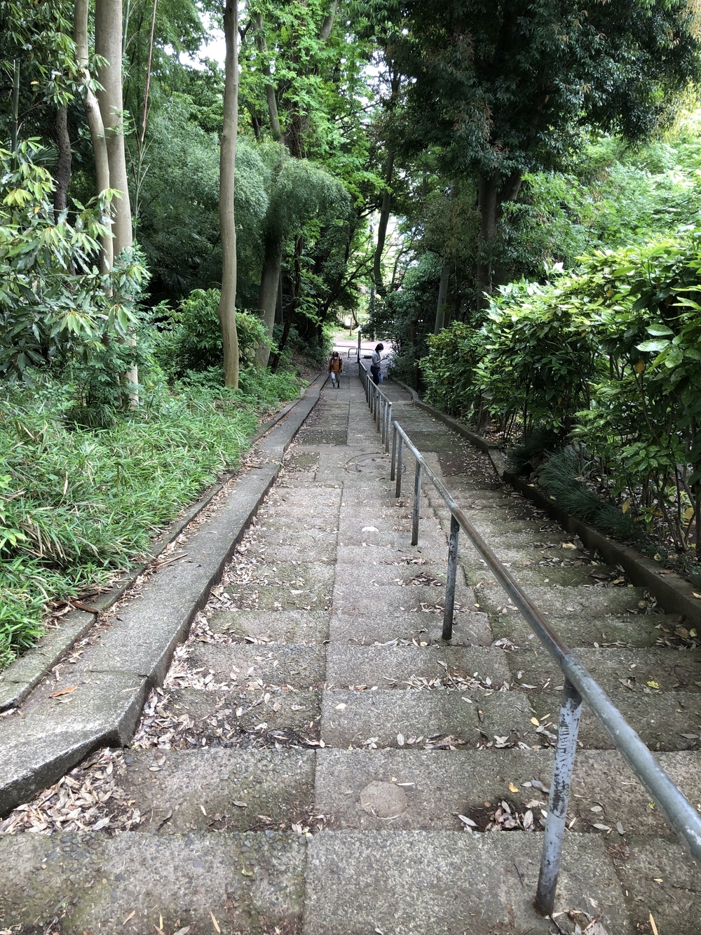 小金井　坂めぐりの写真5