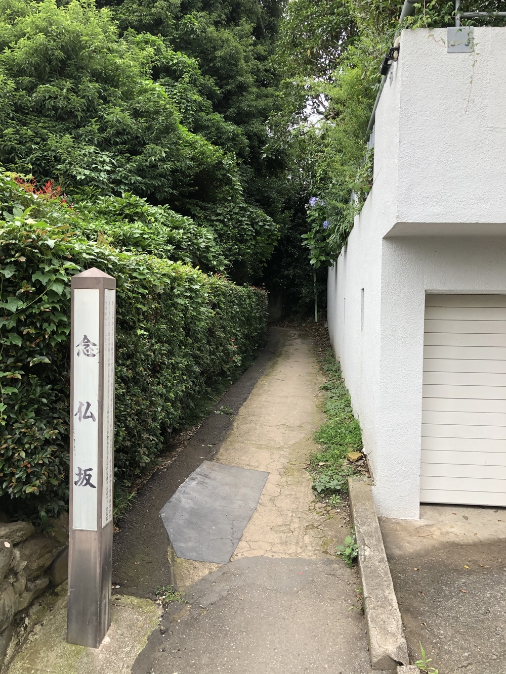 小金井　坂めぐりの写真8