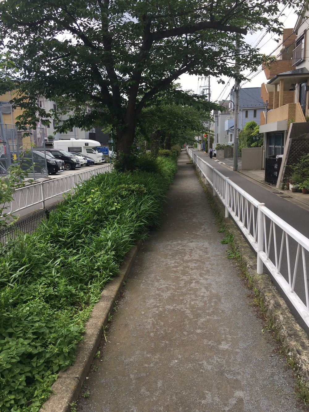 ゆるっと緑道ラン（呑川緑道＋久品仏川緑道）の写真4