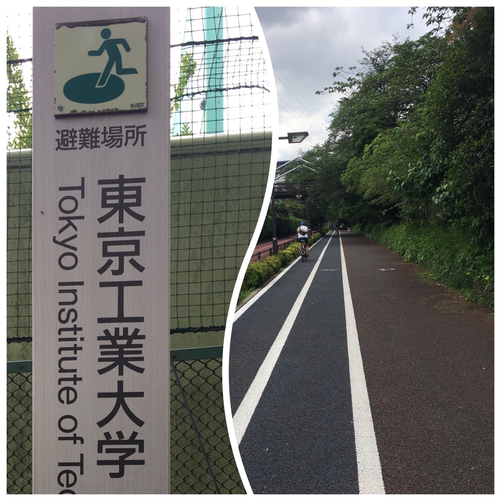 ゆるっと緑道ラン（呑川緑道＋久品仏川緑道）の写真5