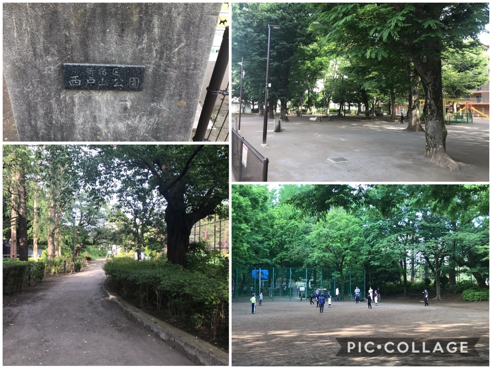 PCN Green Run(4) 南池袋（豊島区）〜戸山（新宿区）の写真3