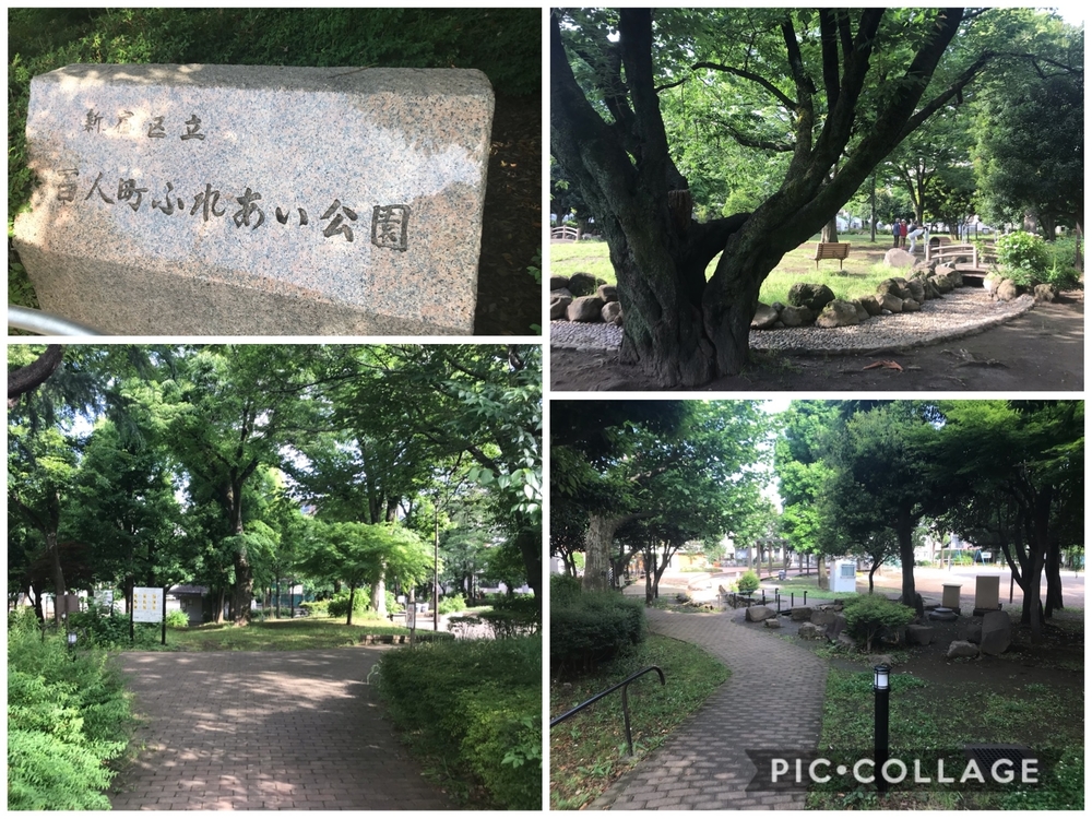 PCN Green Run(4) 南池袋（豊島区）〜戸山（新宿区）の写真4