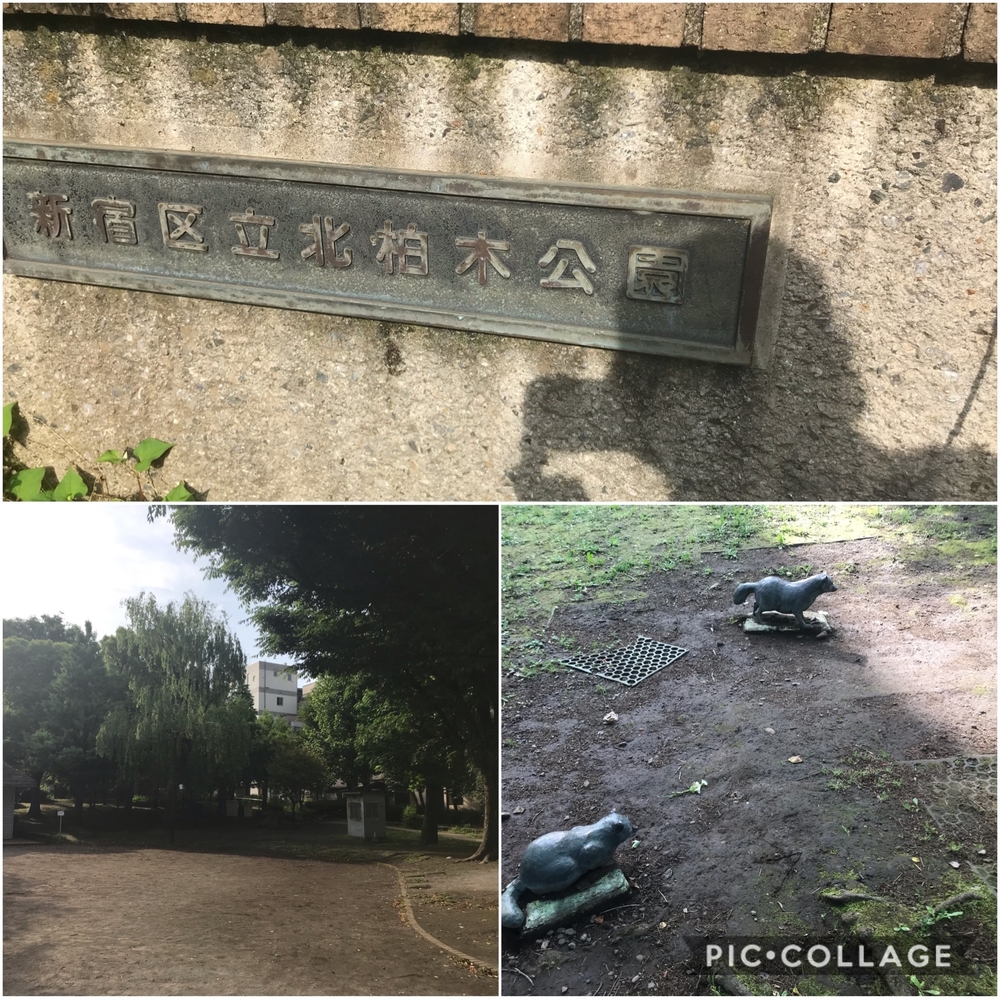 PCN Green Run(4) 南池袋（豊島区）〜戸山（新宿区）の写真5