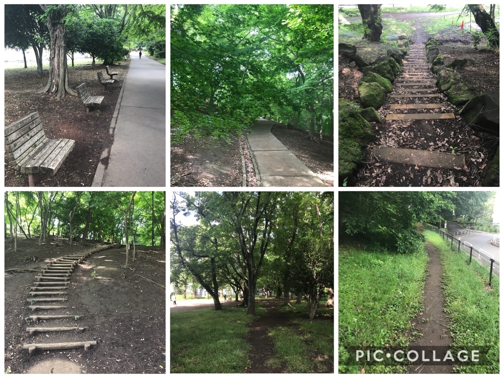 PCN Green Run(4) 南池袋（豊島区）〜戸山（新宿区）の写真7