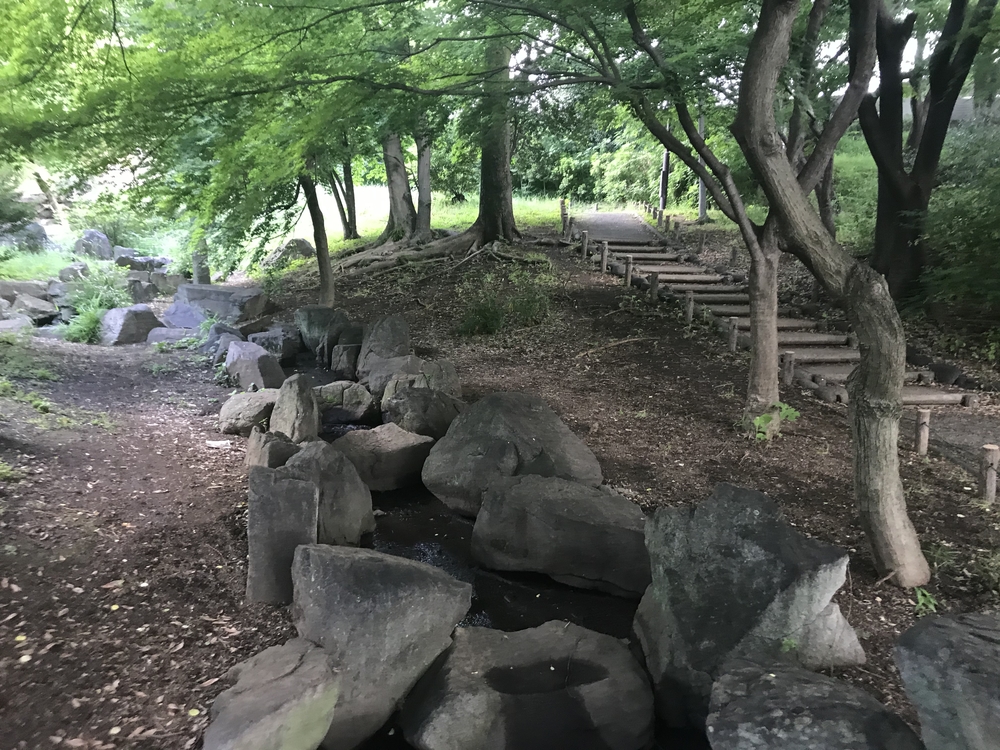 PCN Green Run (5) 南池袋（豊島区）〜早稲田・戸山（新宿区）の写真5