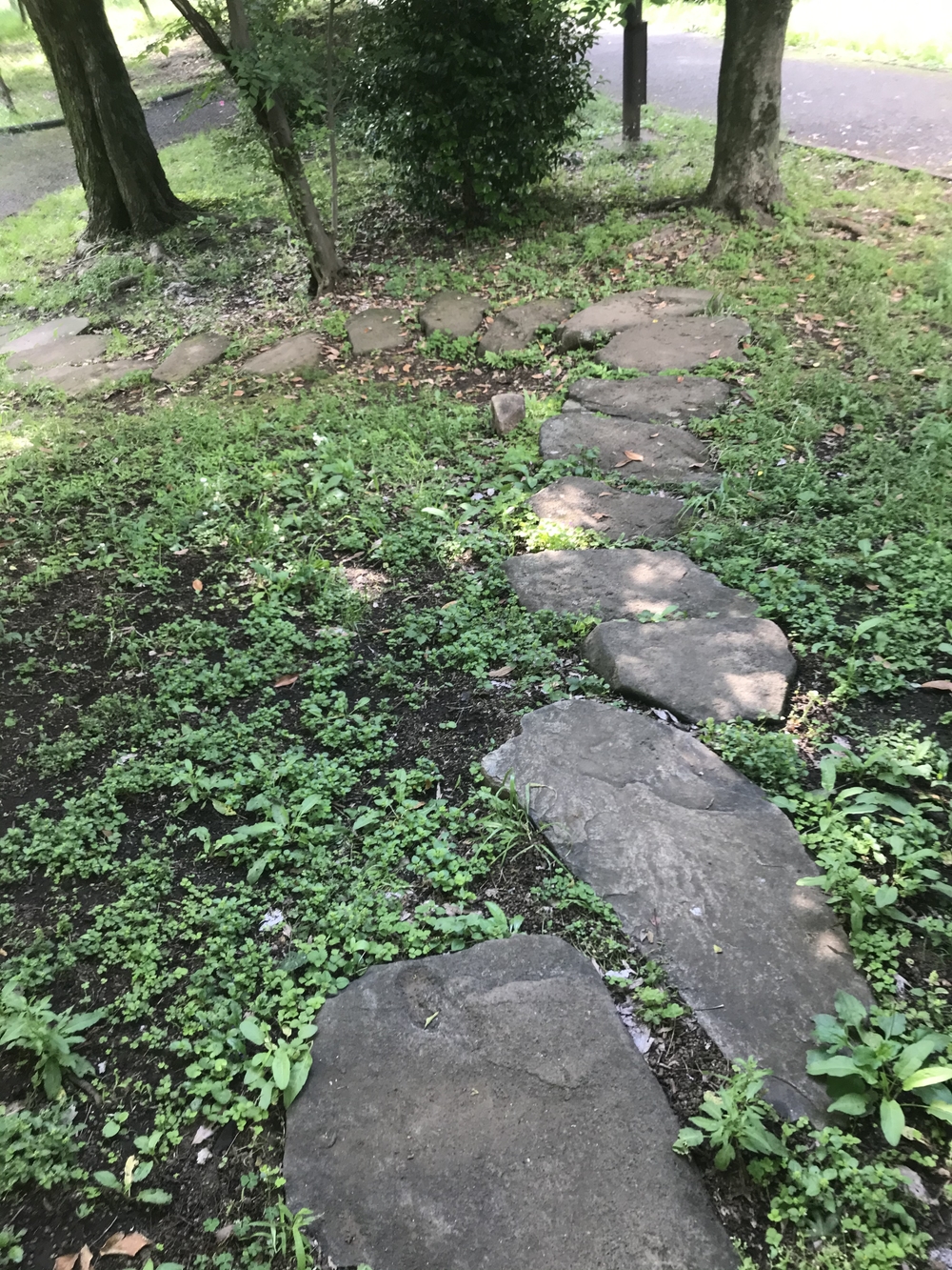 PCN Green Run (5) 南池袋（豊島区）〜早稲田・戸山（新宿区）の写真6