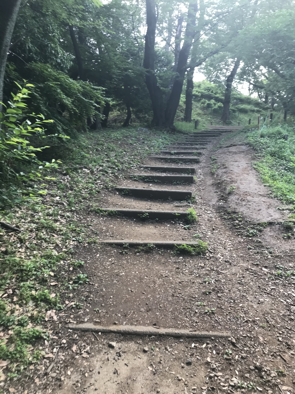 PCN Green Run (5) 南池袋（豊島区）〜早稲田・戸山（新宿区）の写真7