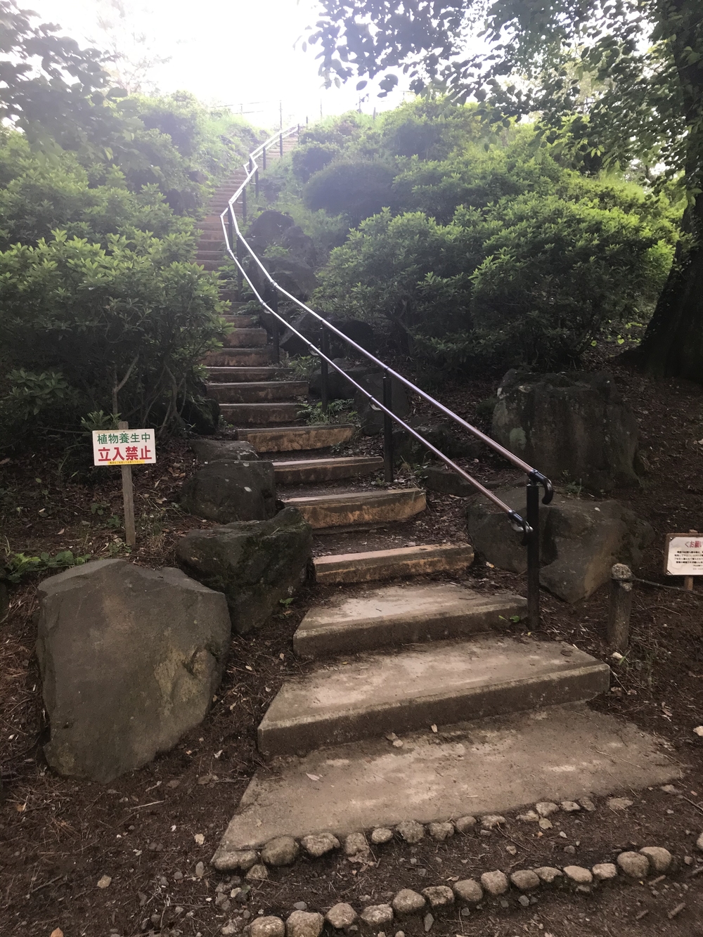 PCN Green Run (5) 南池袋（豊島区）〜早稲田・戸山（新宿区）の写真8